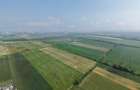 Teren intravilan 52.700 mp, Stupini (Bra?ov) - 6
