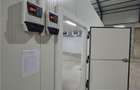 Hala 350 mp,Voluntari-sosea-Metro-ideal detailing auto-servicii - 2