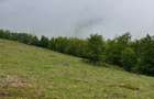 Oportunitate de Investi?ie: Teren Intravilan 1.5 Ha la 1200m Altitudine Langa Partia Vartop (A - 4