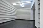 Spațiu comercial, de 44 mp, în Calea București - 13
