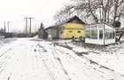 Domeniu privat, 12.500 mp teren, satul Viisoara - Targoviste - 6