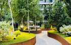 Apartament cu 2 camere decomandat în Pipera - 2