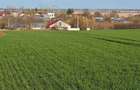 Vand loturi de 527 si 635 mp langa Delta Neajlovului la cel mai bun pr - 2