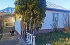 Casa Vanzare Valea Mare Pravat, Arges - 3