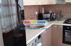 Apartament cu 2 camere semidecomandat în Banat - 9