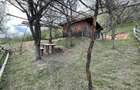 Casa ,livada si padure in com batrana jud hunedoara tinutul padurenilor - 7