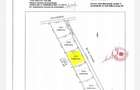 Teren Construcții intravilan de 1000 mp, în Haliu - 5
