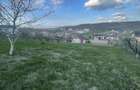 Teren de 1000 mp, în Șorogari - 6