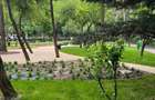 APARTAMENT 2 CAMERE - MALL PLAZA ROMANIA - 7