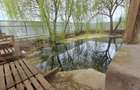 Proprietate deosebita 2 case, lac de peste, finisaje premium - 10