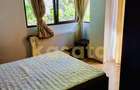 Apartament cu 2 camere semidecomandat în Băneasa - 2
