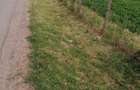 Vand teren 1853mp 23m deschidere la lac Salciile PH