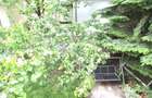 Apartament cu 4 camere semidecomandat în Dorobanți - 12