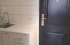 Garsoniera zona vasile aaron 245 euro - 8