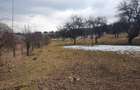Teren Construcții extravilan de 10000 mp, în Bod - 9