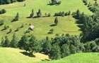 Teren de 10000 mp, în Moieciu - 1