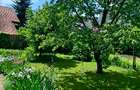 Proprietar vând casă în Valea Lupului – poziție excelentă, grădină superbă și po - 8