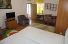 Apartament 1 camera, foarte spa?ios, cu termoteca, central - Podgoria - 8