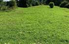 Vand teren intravilan in apropierea Manastirii Diaconesti - 4