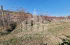 Teren intravilan | De vanzare | 3900 mp | 17 ml deschidere | Cetate