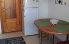 Apartament cu 2 camere decomandat în Nicolina - 9