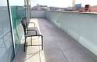 Penthouse 3 camere camere Piata Victoriei - 2
