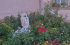 Casa de vanzare, frumoasa ?i cocheta - 7