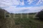 Teren extravilan in suprafata de 35 de ari, zona Beclenut, i - 3