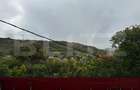 Casa cu suflet ?i poten?ial in Suceagu lini?te, spa - 4