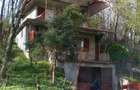 Casa de vacanta cu teren cu vita de vie - 4