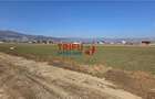 Teren de vanzare cu toate utilitatile 370 mp in Orizont - 1