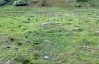 Teren extravilan de 5000 mp, în Vama Buzăului - 8