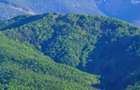 Teren Valea Avrigului (Avrig, Sibiu) - 1