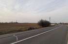 Teren de 8400 mp, în Tămășeu - 4