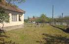 Casa in Viile Satu Mare - 1