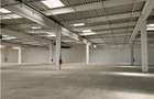 Spatiu Industrial - 7000 mp - Logistica - Productie - Depozitare - Distributie - 2