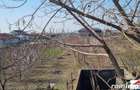 Teren intravilan în Vetiș - 4