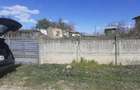 vand proprietate in mediu rural la 5 km de Dunare - 3