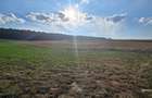 1 ha teren zona Curtesti - Bucovina - 1