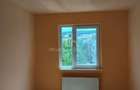 Apartament cu 2 camere nedecomandat în Dâmbu Pietros - 4