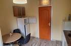 Apartament 2 camere de inchiriat, zona Modern, ideal pentru un cuplu - 5