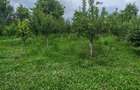 2 terenuri alipite cu case ?i afacere la cheie in PODENII NOI, SAT VALEA DULCE - 3