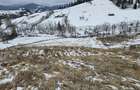 Teren 12.066 mp intravilan de vanzare in Bucovina Comuna Breaza Zona Breaza De sus - 5