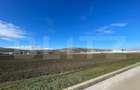 Teren de vanzare 11.600 mp Santimbru - 1