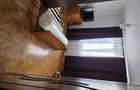 De inchiriat apartament 2 camere, Pajura. Sector 1 - 6