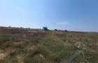 Teren de 670 mp, în Palazu Mare - 2
