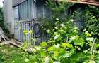 Casa in zona de deal la Zarnesti, la 20 km de Buzau, teren 1535 mp - 2