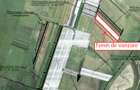 Teren agricol extravilan de 20000 mp, în Bod - 1