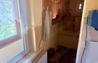 Buzias Timis apartament cu 1 camera de vanzare complet mobilat si izolat - 6