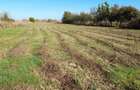 !!SUPER SALE !! Vanzare teren intravilan - 3